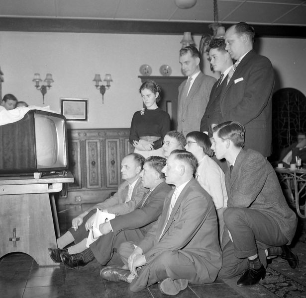 Bestand:De ko 4.jpeg